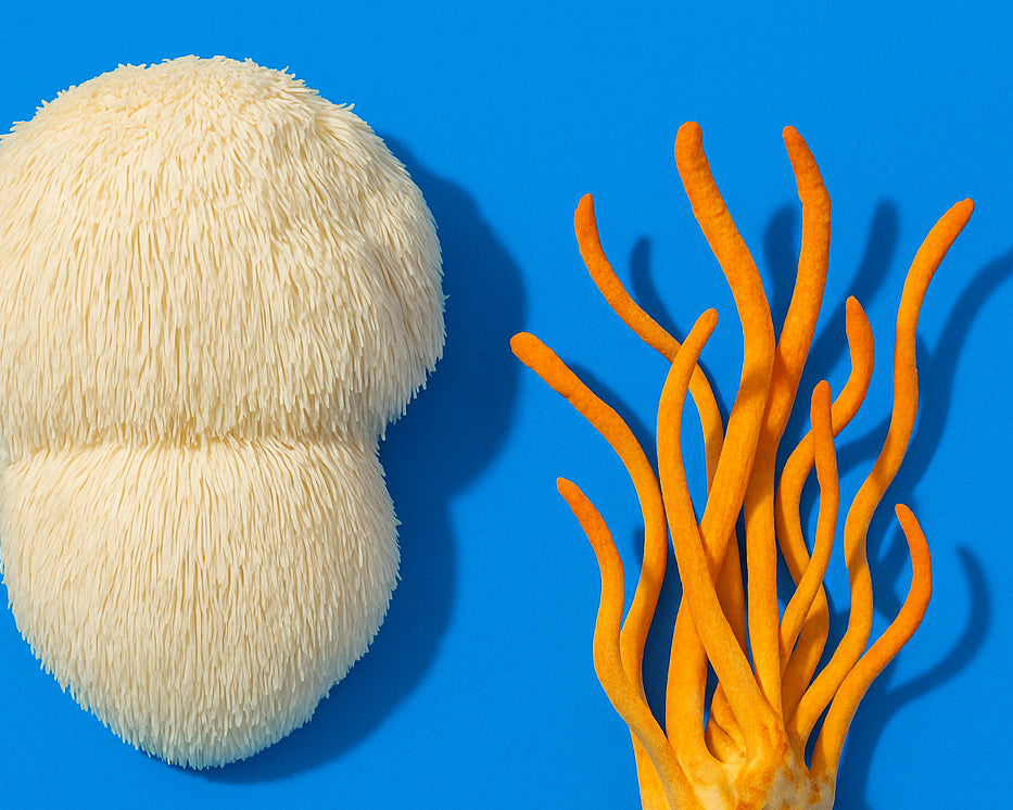 Lion’s Mane & Cordyceps: Why These Functional Mushrooms Are Everywhere